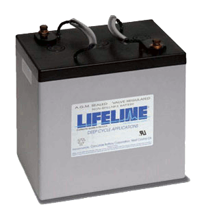 Lifeline Battery Picture